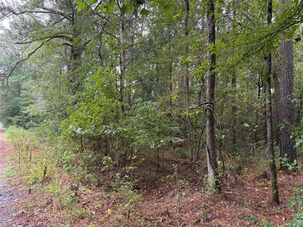0 Fox Skin Drive Property Photo 13