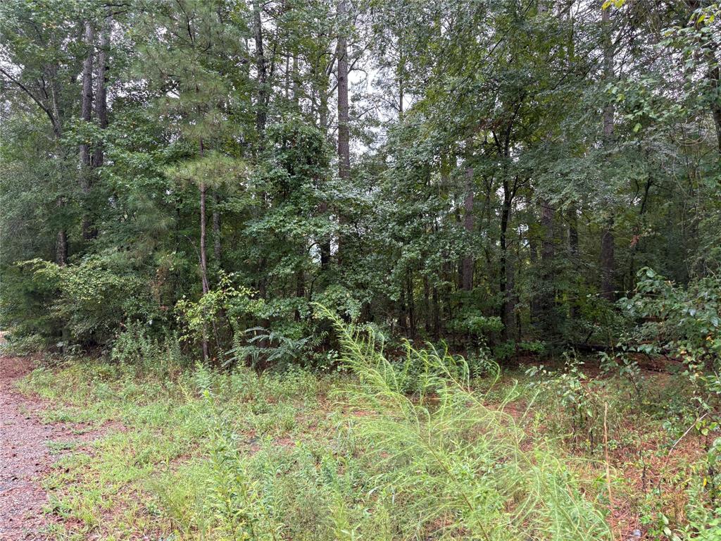 0 Fox Skin Drive Property Photo 14