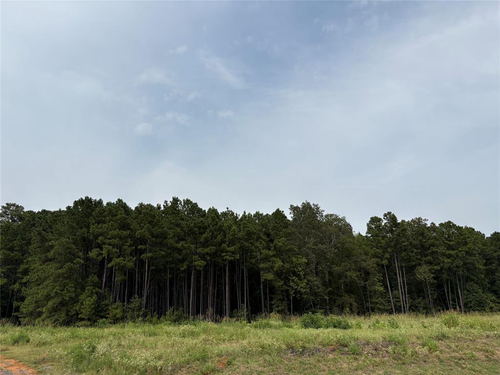 0 Fox Skin Drive Property Photo 15