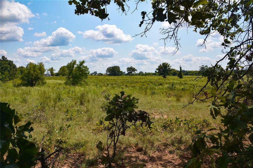 Tbd Vz County Road 1821 Property Photo 1