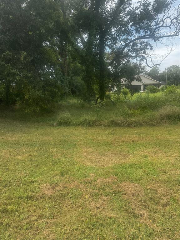 105 S Brazos Avenue Property Photo 3