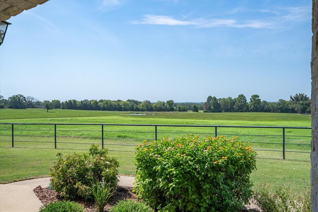 9208 Fm 17 89 Acres Property Photo 14