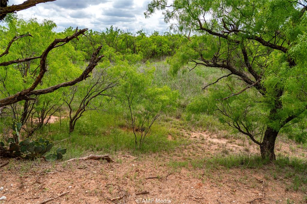 Tbd Cr 195 Property Photo 4