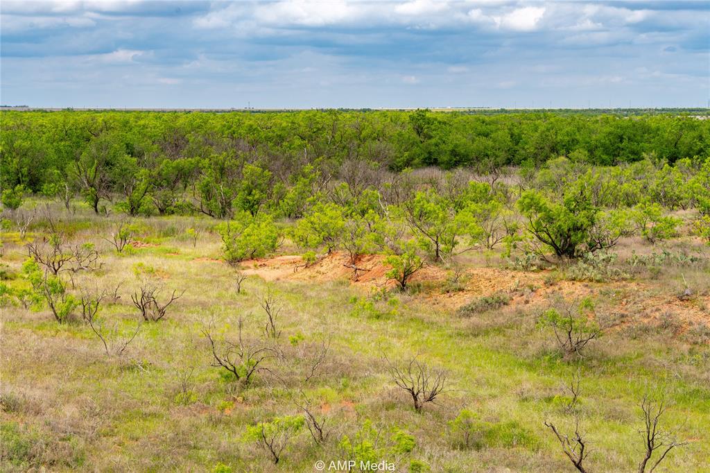 Tbd Cr 195 Property Photo 6