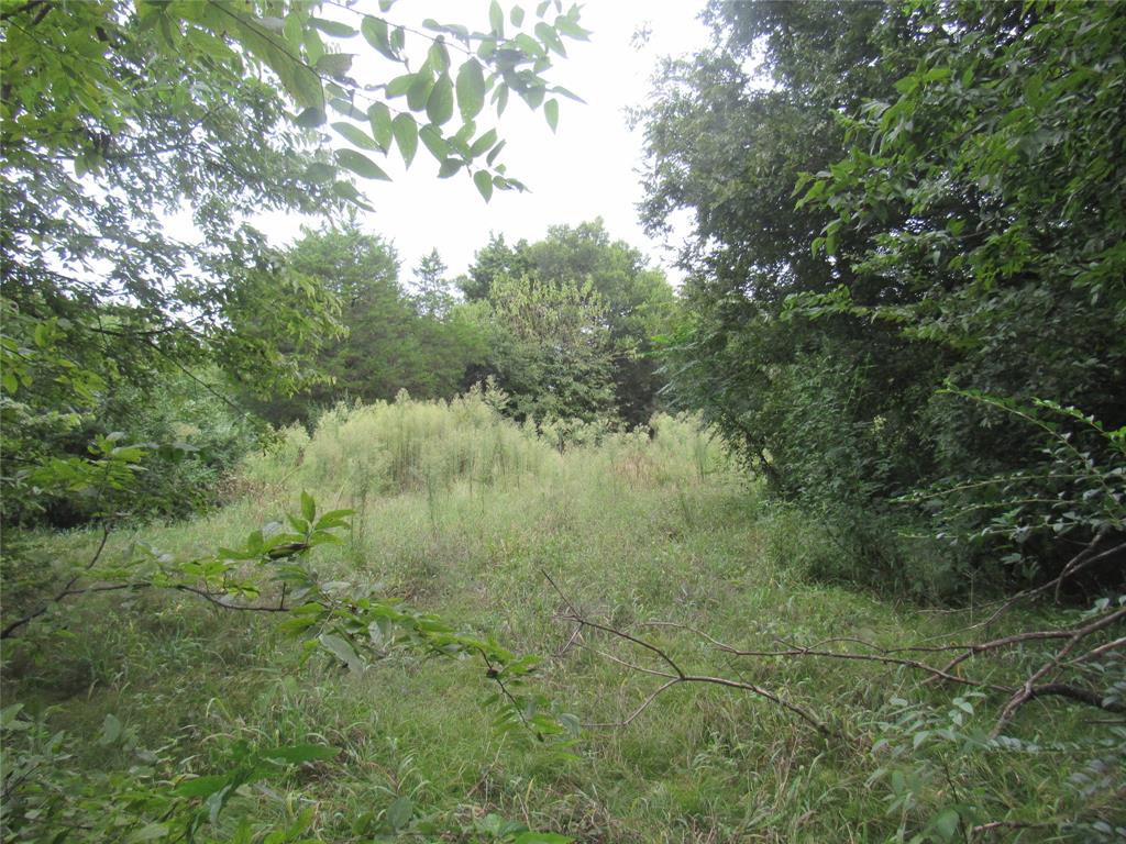 17700 Fm-901 Property Photo 27