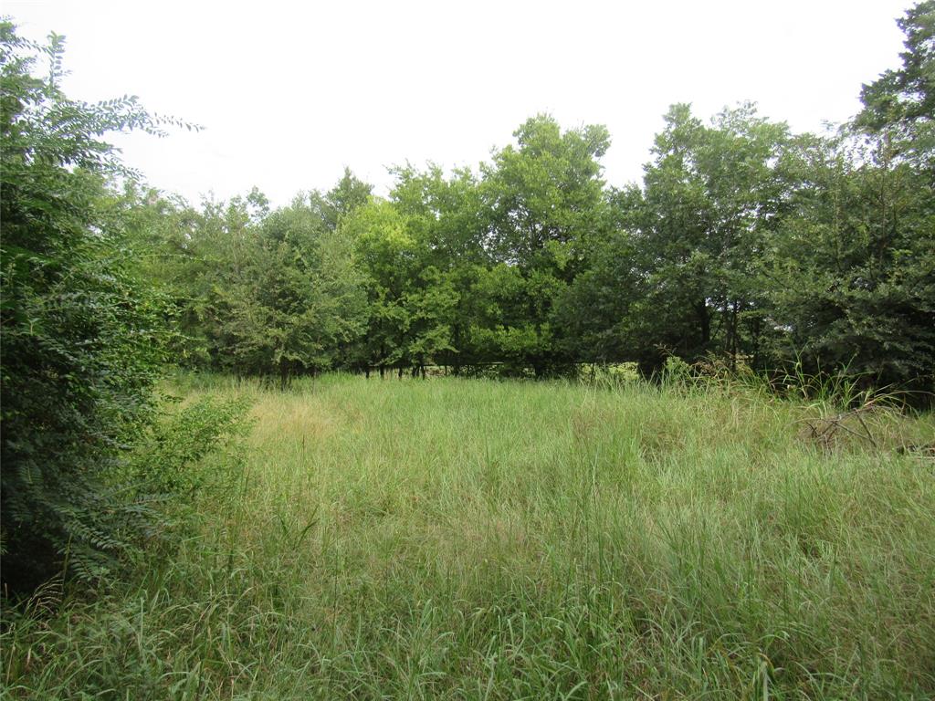 17700 Fm-901 Property Photo 29