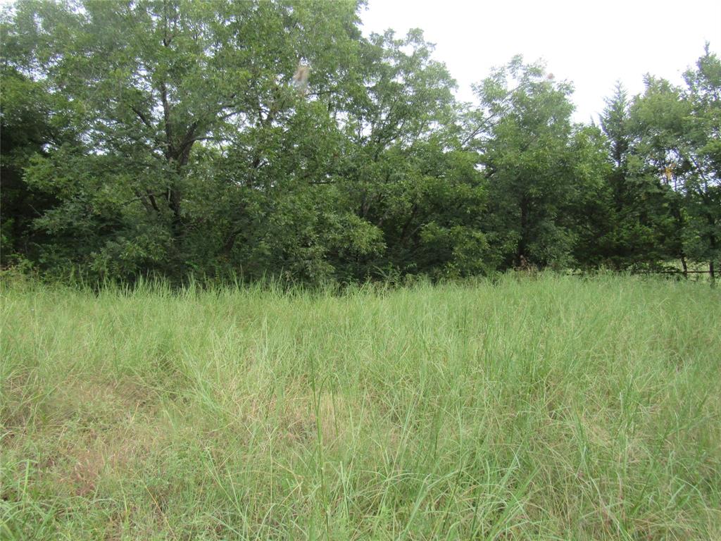 17700 Fm-901 Property Photo 30