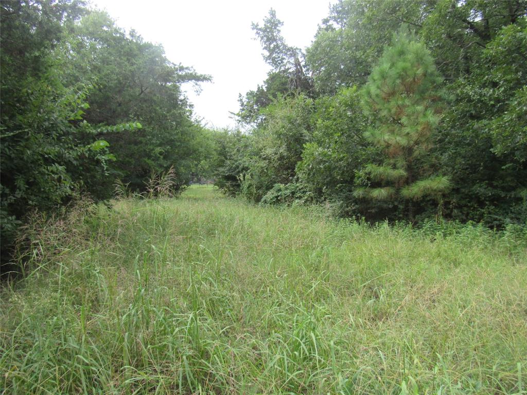 17700 Fm-901 Property Photo 31