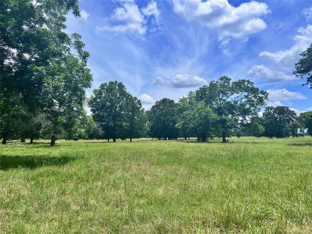 695 County Road 1210 Property Photo 1