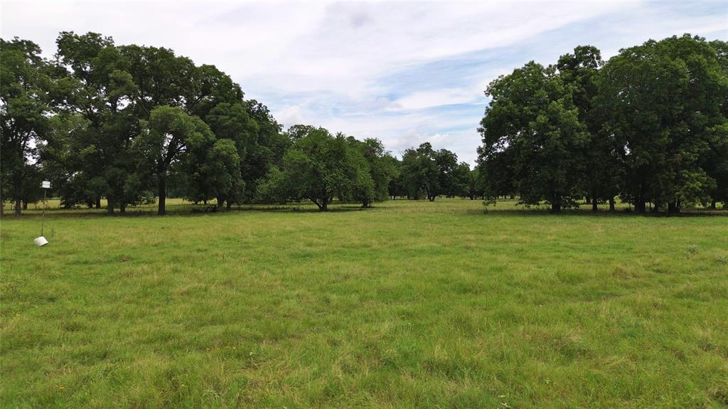695 County Road 1210 Property Photo 18