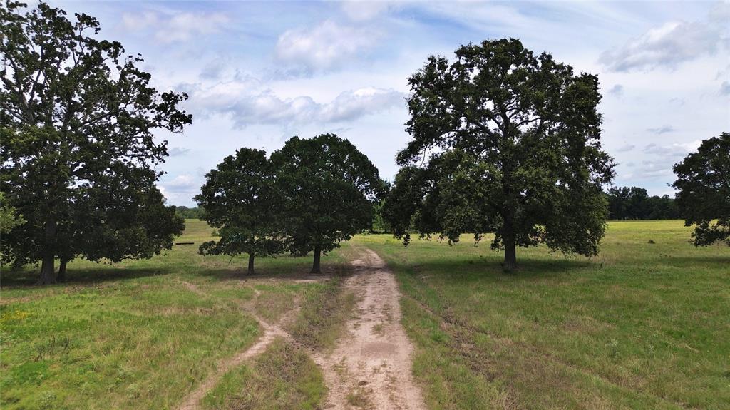 695 County Road 1210 Property Photo 27