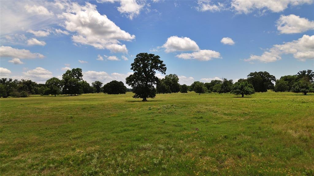 695 County Road 1210 Property Photo 29