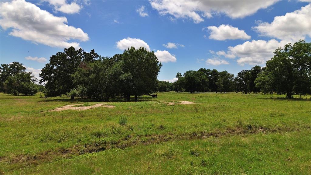 695 County Road 1210 Property Photo 30