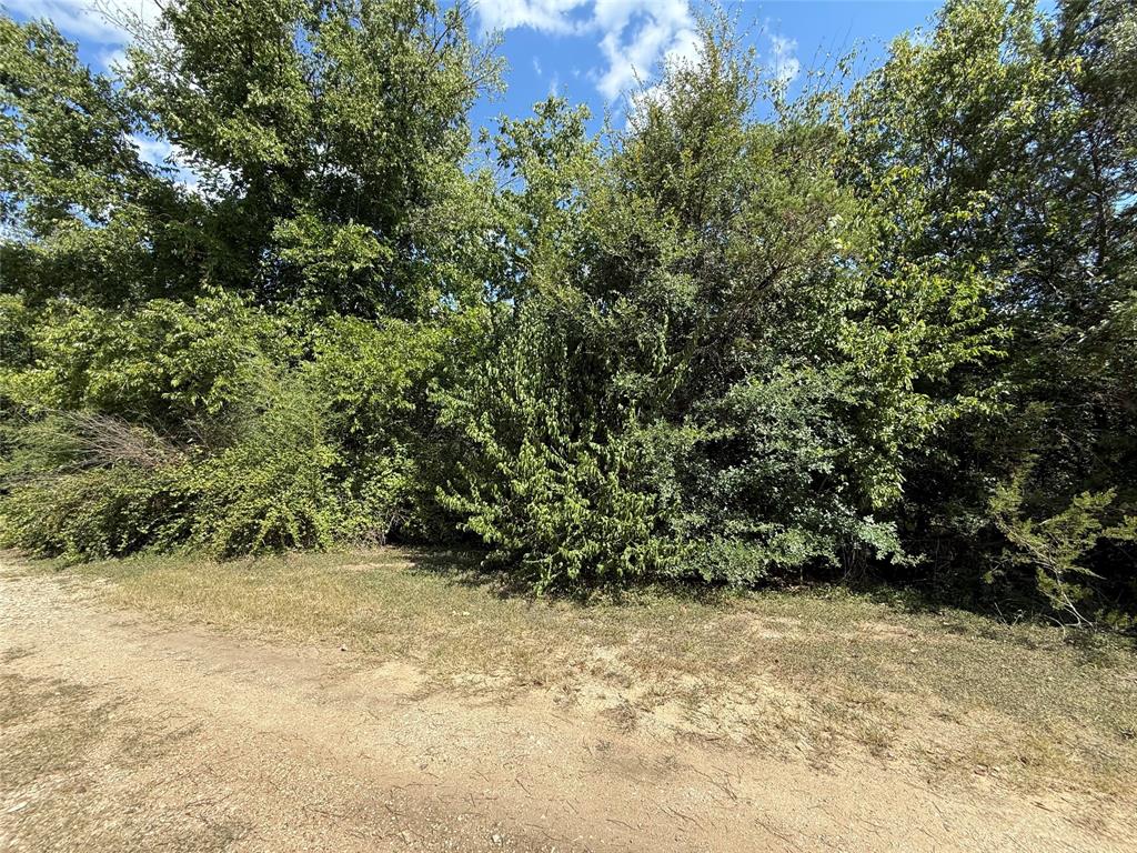 120 Live Oak Spur Property Photo 2