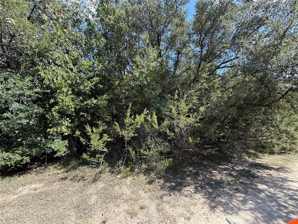 120 Live Oak Spur Property Photo 3