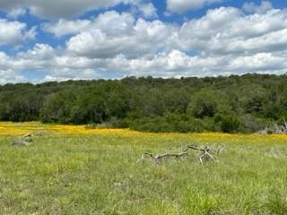 90 Fm 2492 Property Photo 2