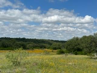 90 Fm 2492 Property Photo 5