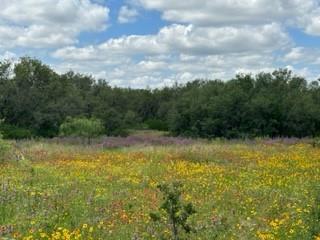 90 Fm 2492 Property Photo 8