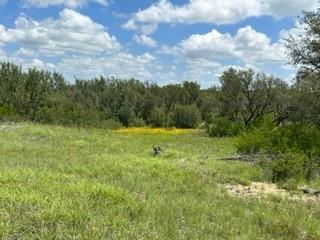 90 Fm 2492 Property Photo 10