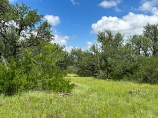 90 Fm 2492 Property Photo 12