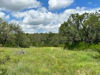90 Fm 2492 Property Photo 13