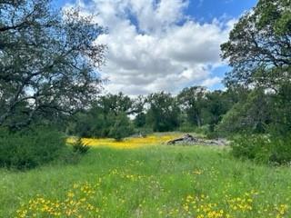 90 Fm 2492 Property Photo 15