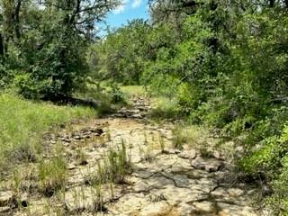 90 Fm 2492 Property Photo 16