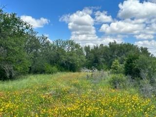 90 Fm 2492 Property Photo 17