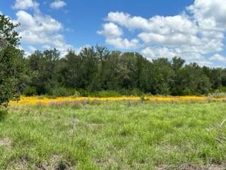 90 Fm 2492 Property Photo 19