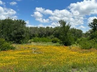 90 Fm 2492 Property Photo 20