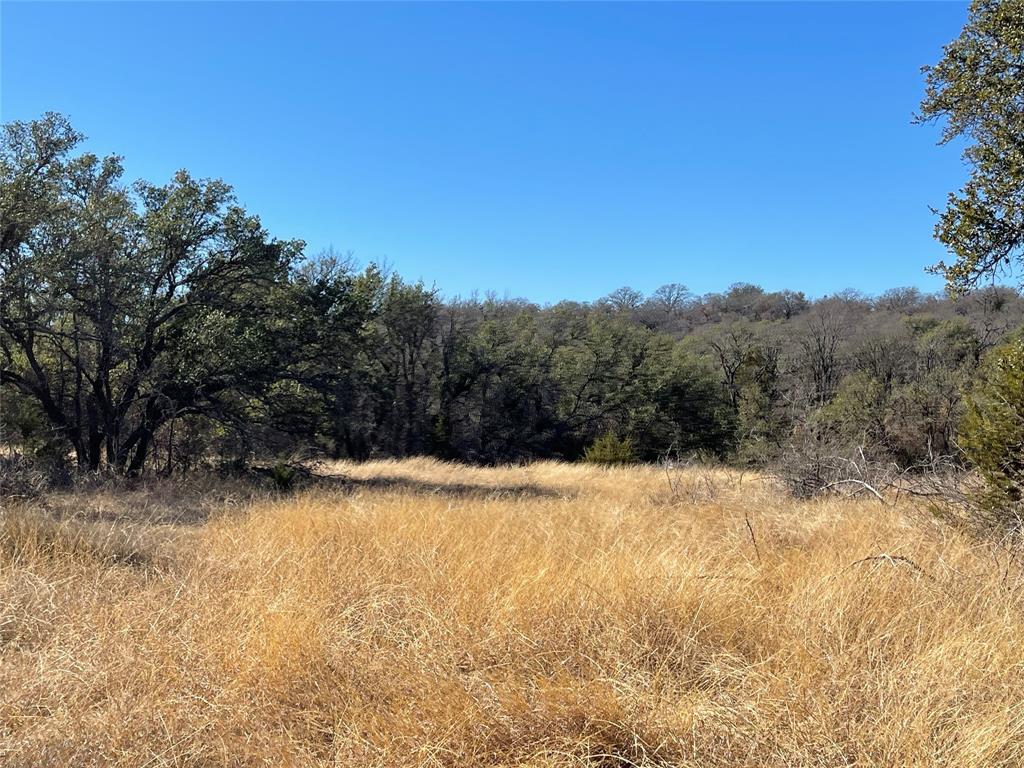 90 Fm 2492 Property Photo 23