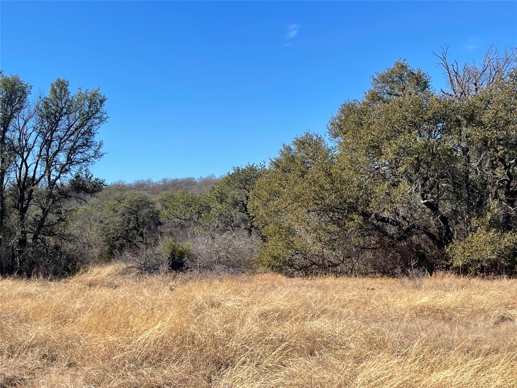 90 Fm 2492 Property Photo 24