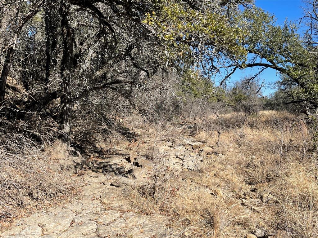 90 Fm 2492 Property Photo 25