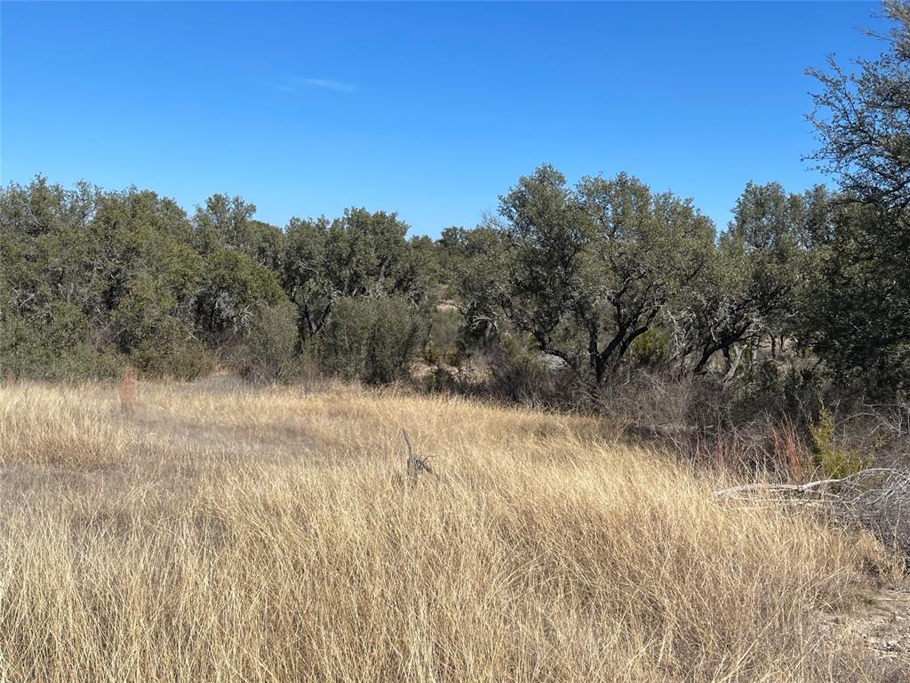 90 Fm 2492 Property Photo 26