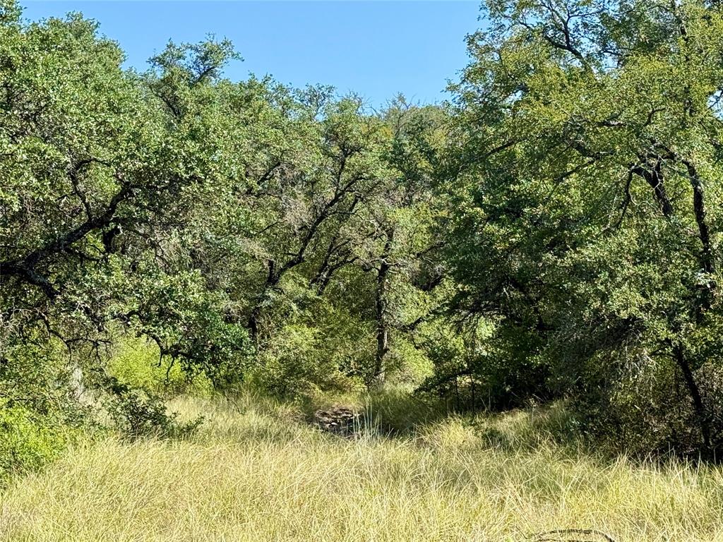 90 Fm 2492 Property Photo 28