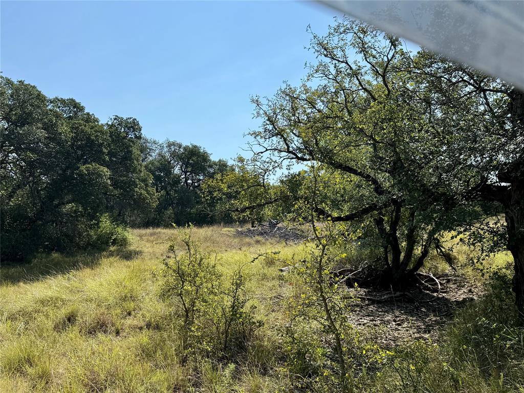 90 Fm 2492 Property Photo 29