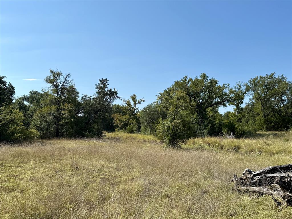 90 Fm 2492 Property Photo 31