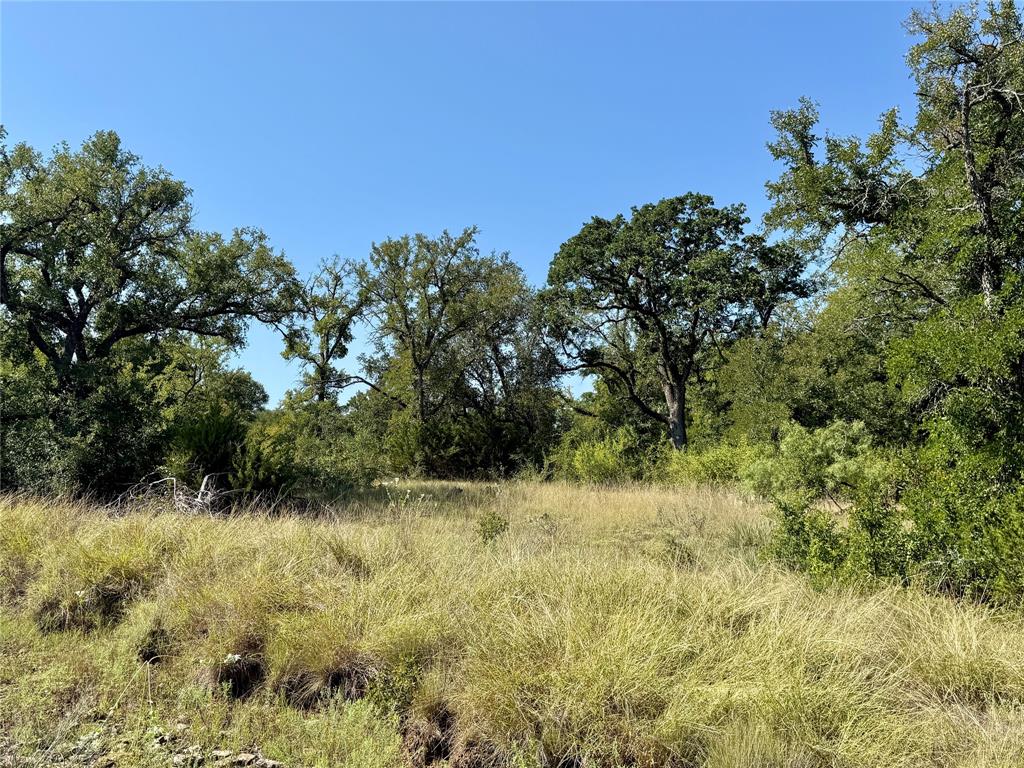 90 Fm 2492 Property Photo 33