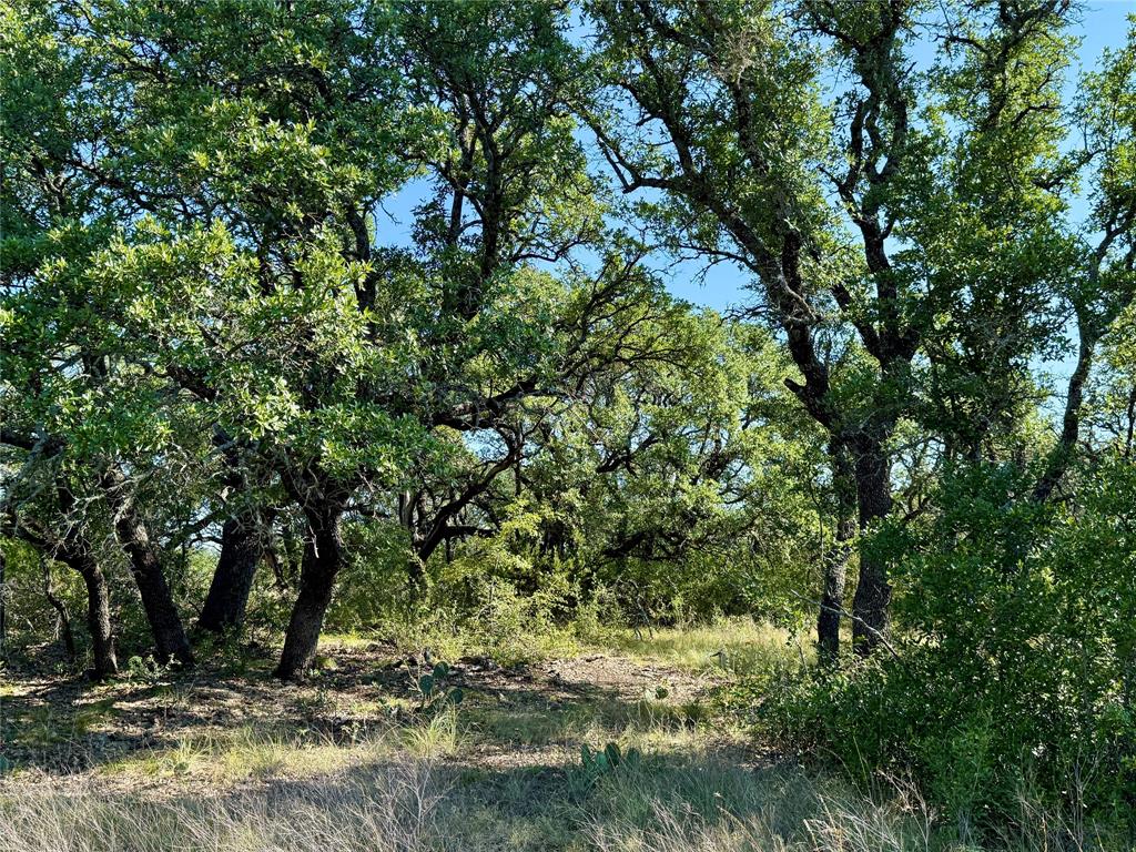 90 Fm 2492 Property Photo 34