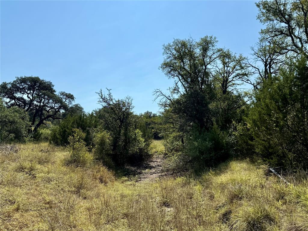 90 Fm 2492 Property Photo 35