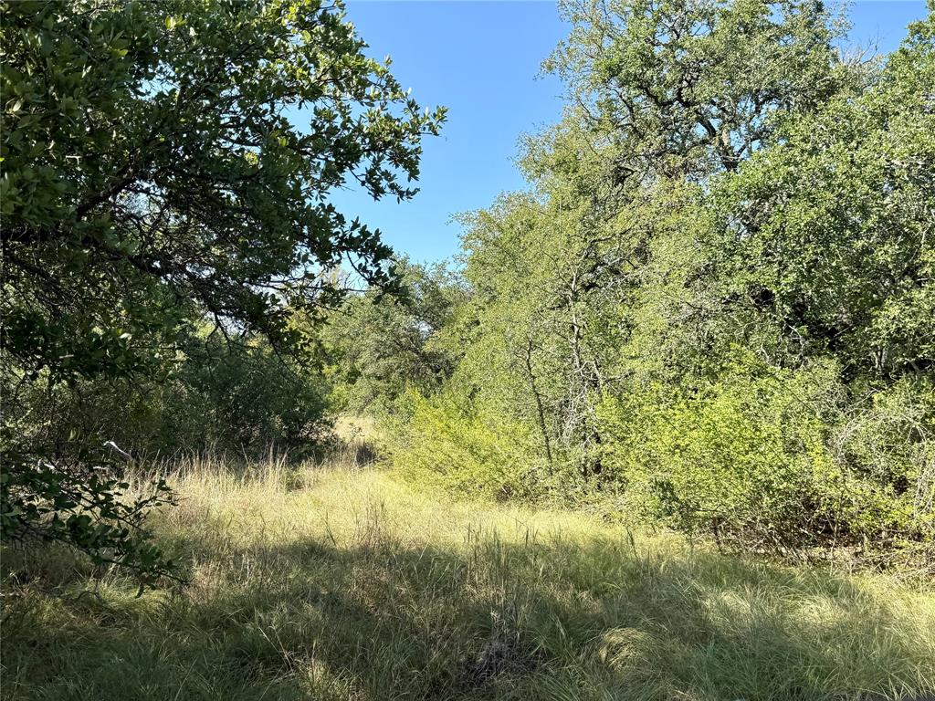 90 Fm 2492 Property Photo 36