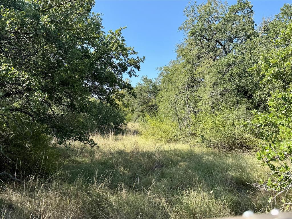 90 Fm 2492 Property Photo 37
