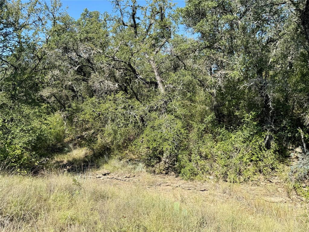 90 Fm 2492 Property Photo 38