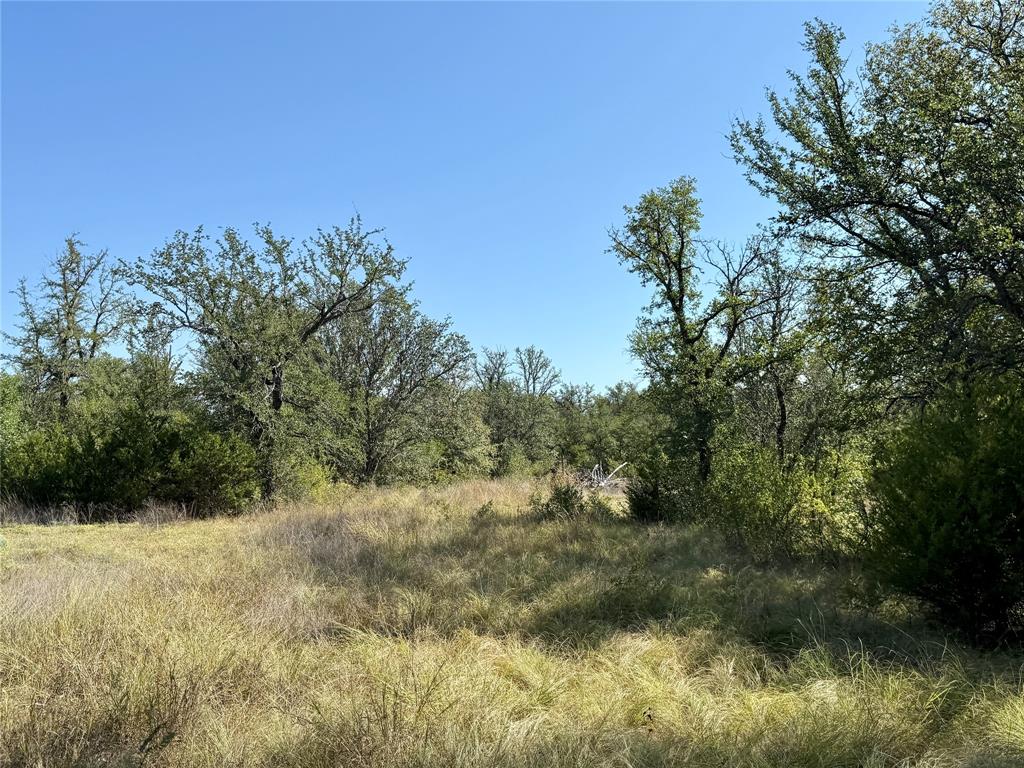 90 Fm 2492 Property Photo 39