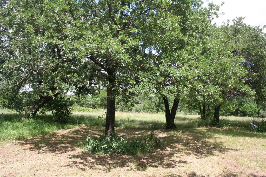 215a Buzbee Road Property Photo 1
