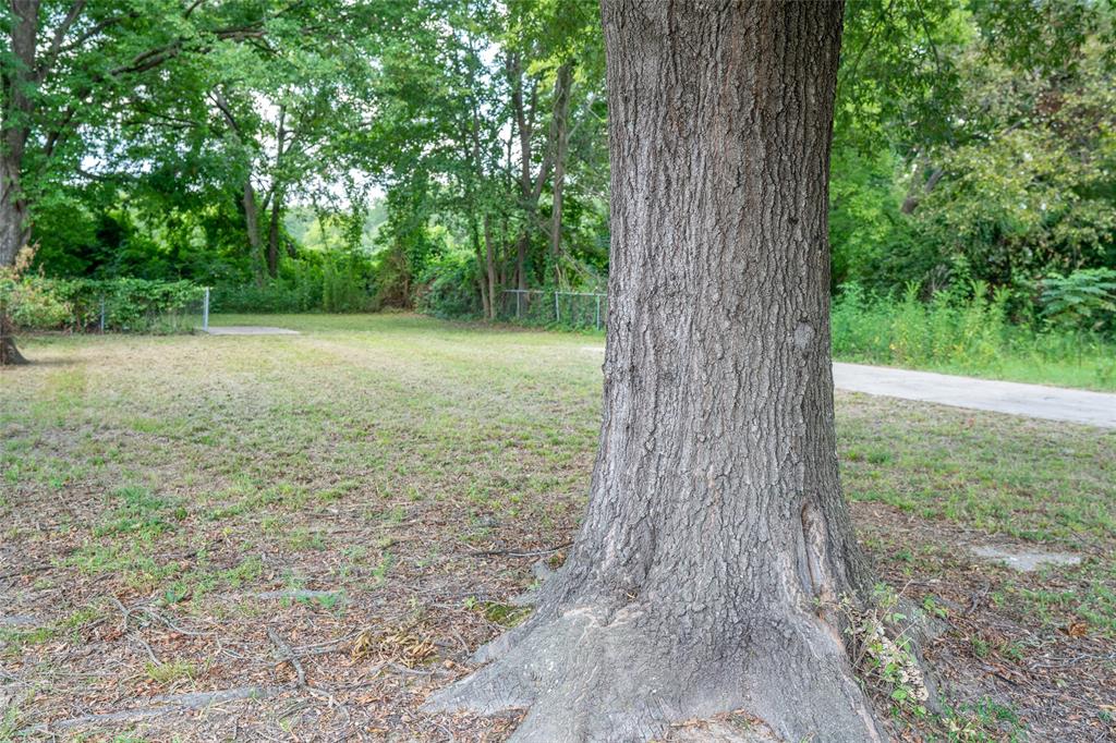 1609 Plum Property Photo 4