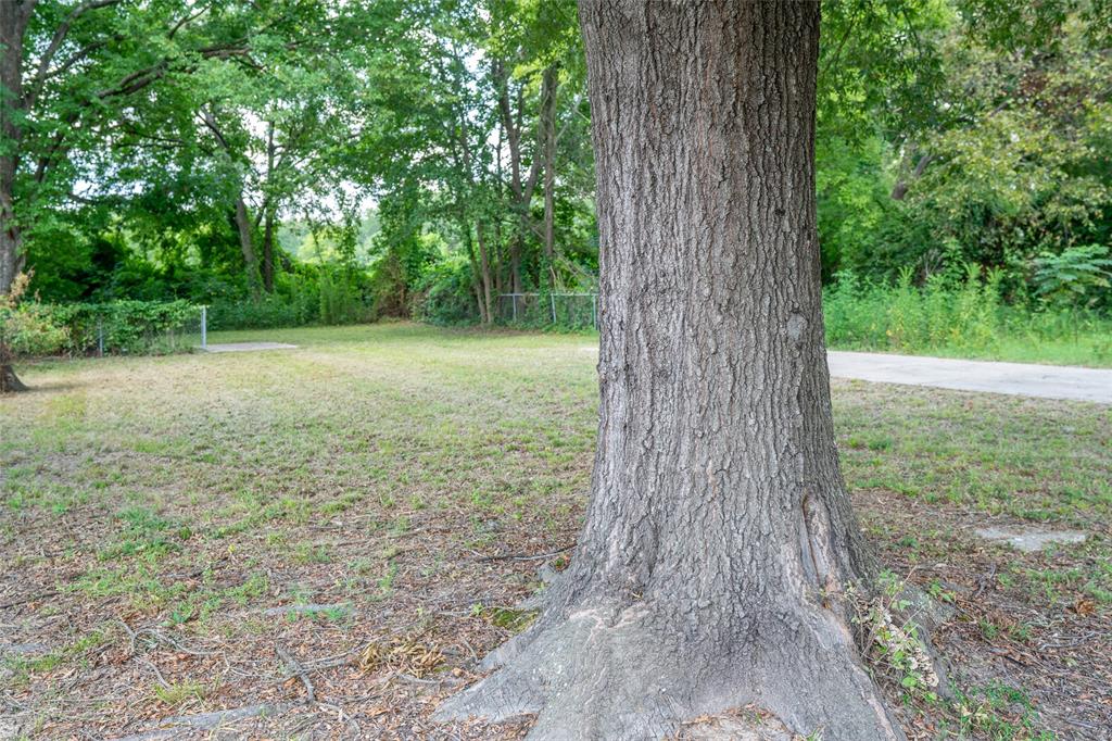 1609 Plum Property Photo 5