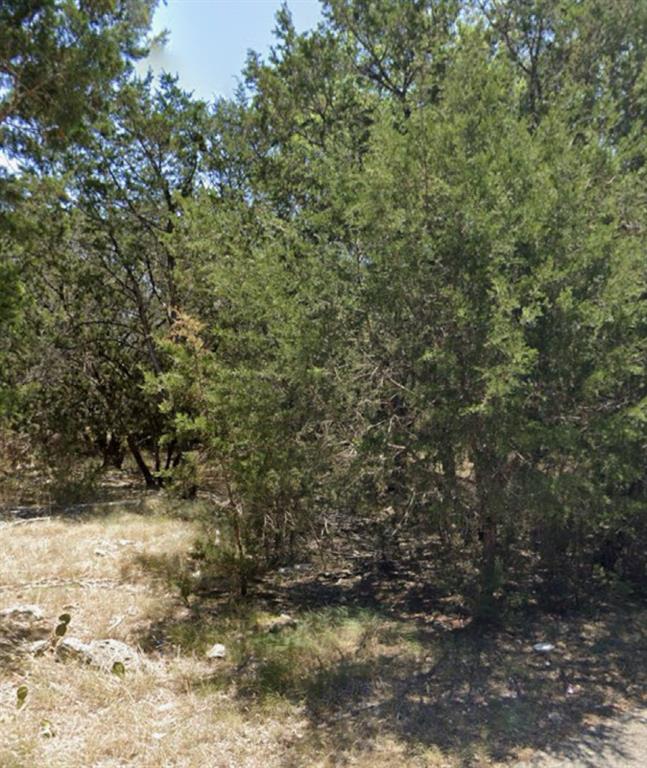 0 Teakwood Lane Property Photo 7