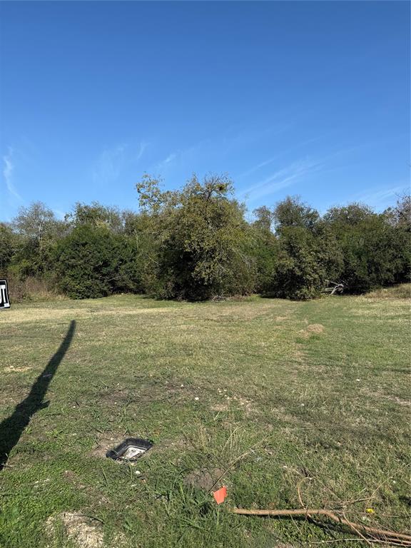 820 E Avenue Avenue Property Photo 2