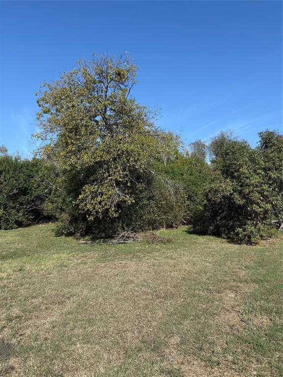 820 E Avenue Avenue Property Photo 5